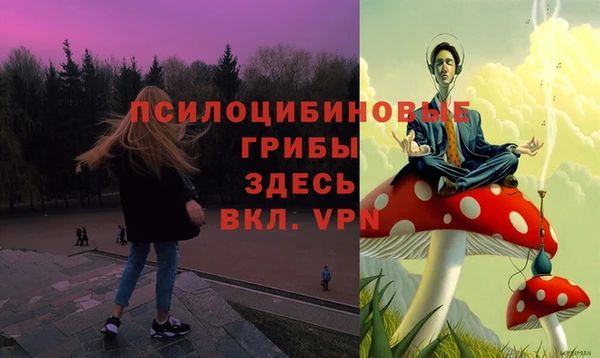 PSILOCYBIN Богородск